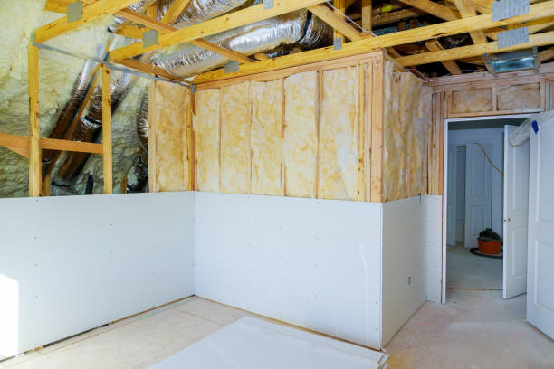 Best Insulation Maintenance and Repair in Williston, SC
