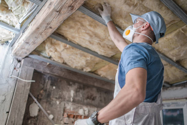 Best Insulation Materials and Products in Williston, SC