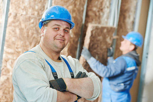 Best Energy Efficiency Solutions in Williston, SC