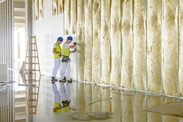 Best Residential Insulation in Williston, SC